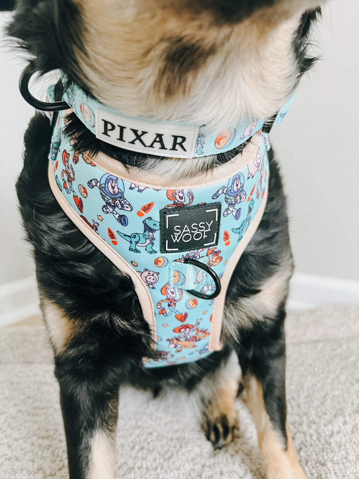 Dog Collar - Disney and Pixar's Toy Story