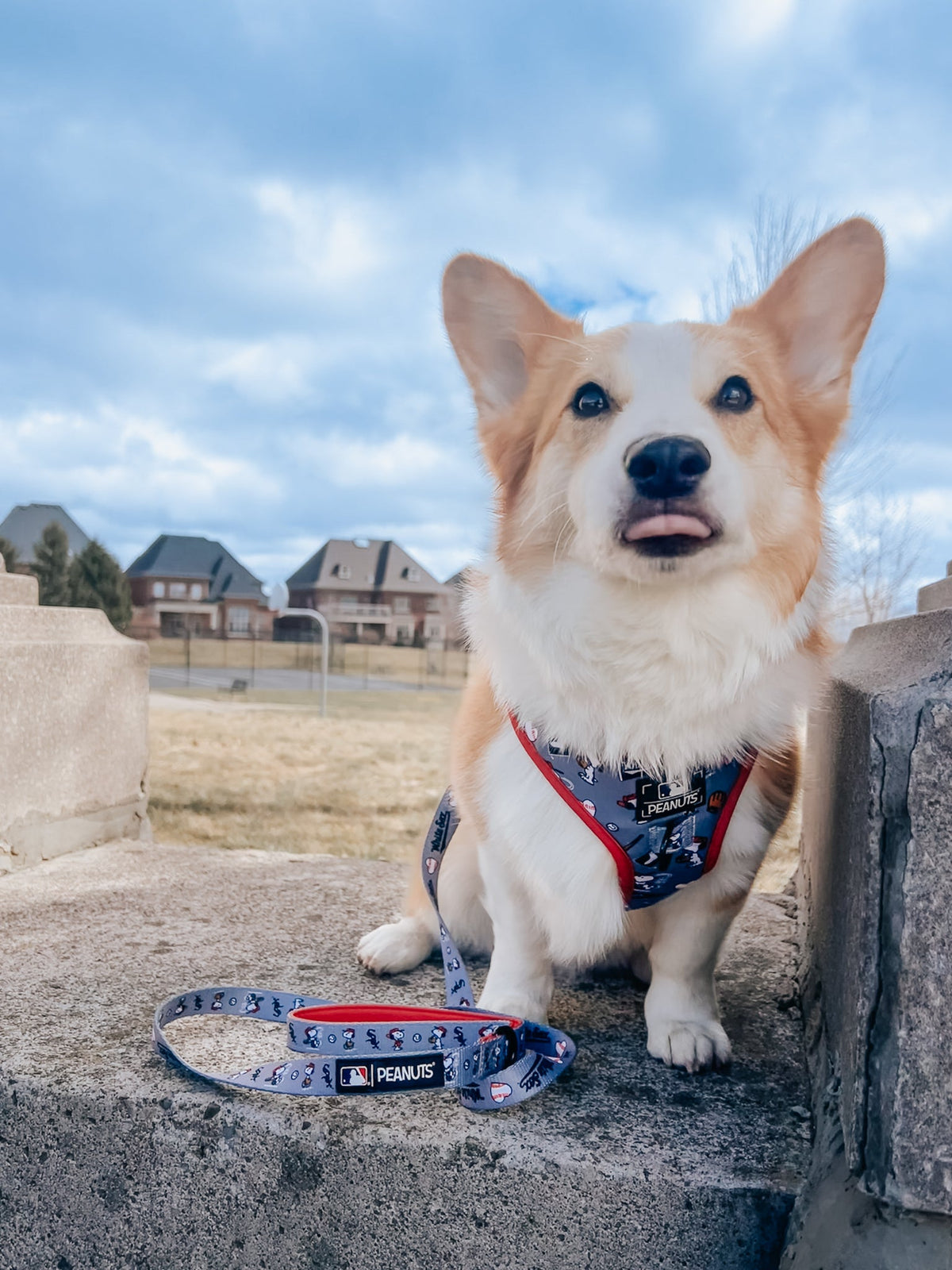 Dog Leash - MLB™ x Peanuts™ Chicago White Sox™