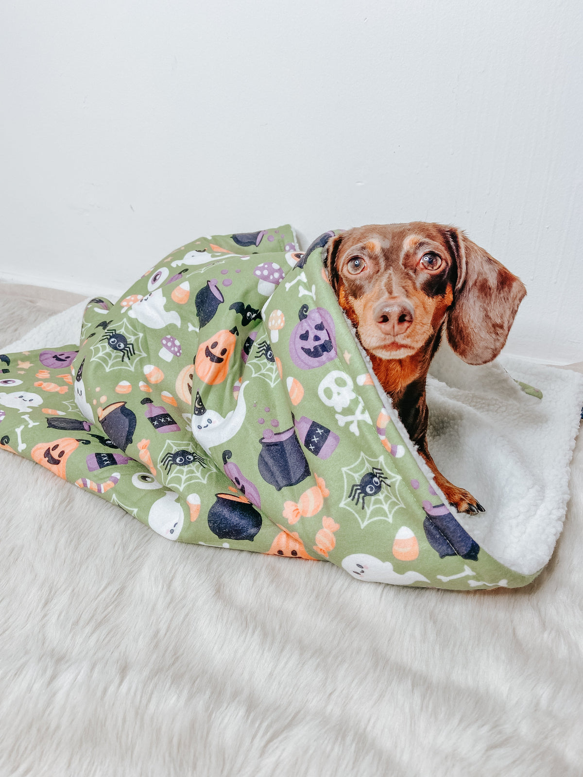 Pet Blanket - Haunt Mess