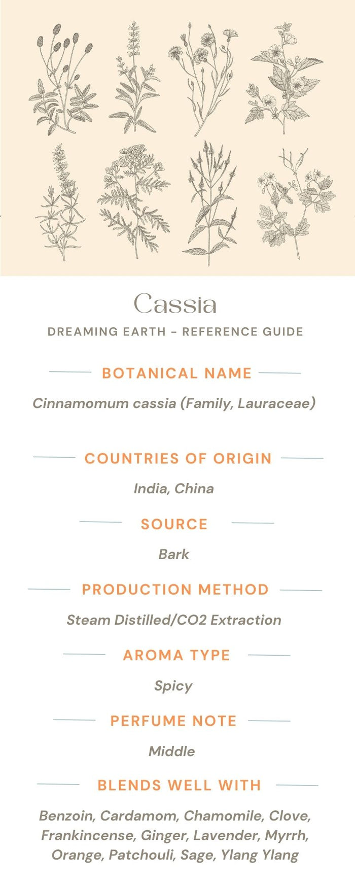 Cassia Essential Oil