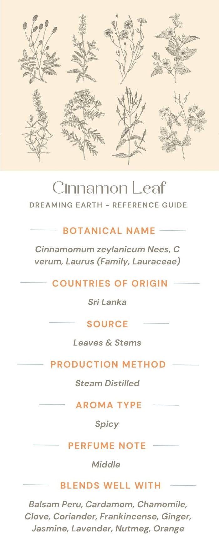 Cinnamon Leaf Essential Oil - Dreaming Earth Inc