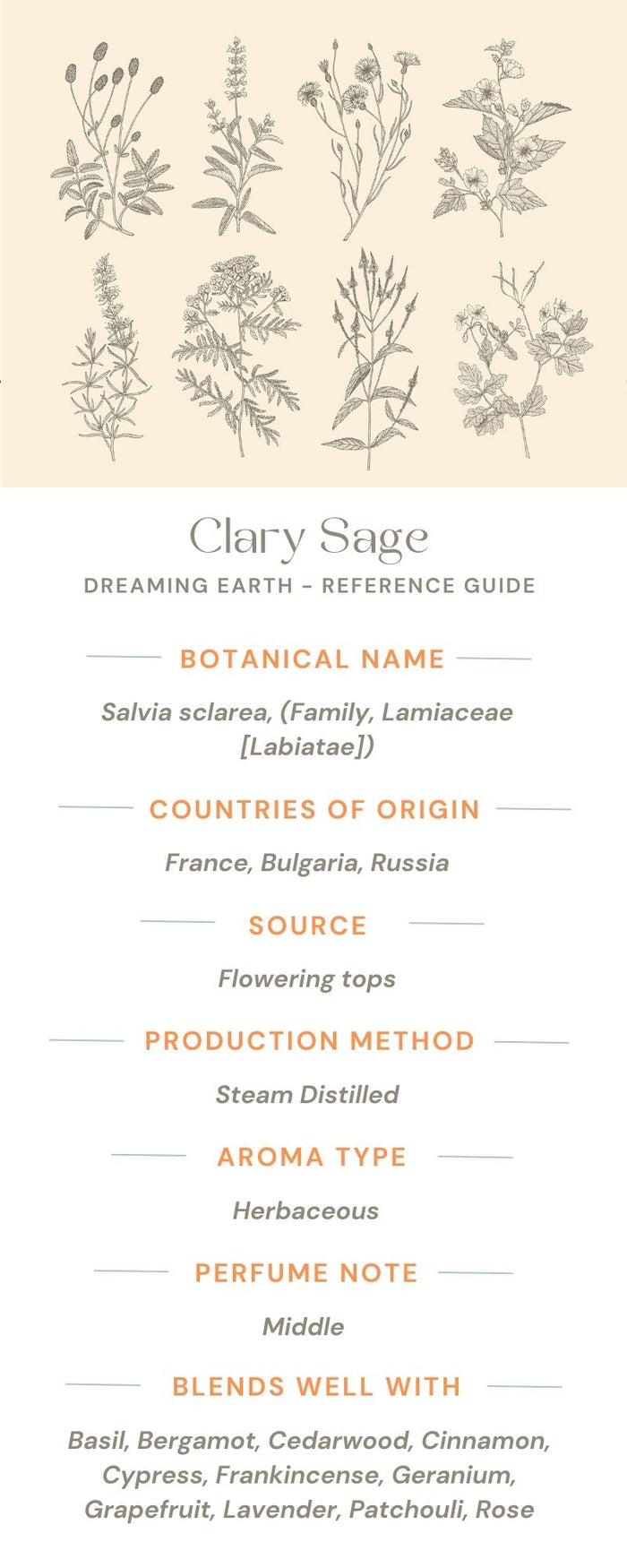 Clary Sage Organic Essential Oil - Dreaming Earth Inc