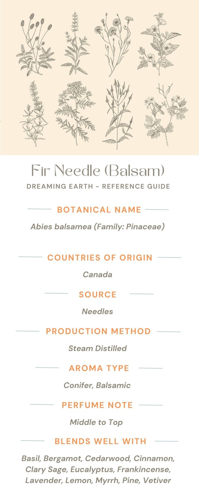 Fir Needle Essential Oil