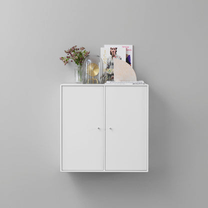 Cabinet 1118 - 2 Lacquered Doors
