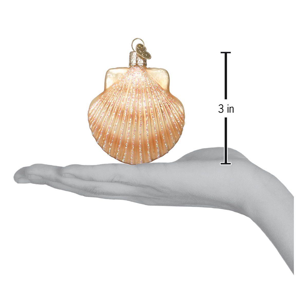 Scallop Shell Ornament