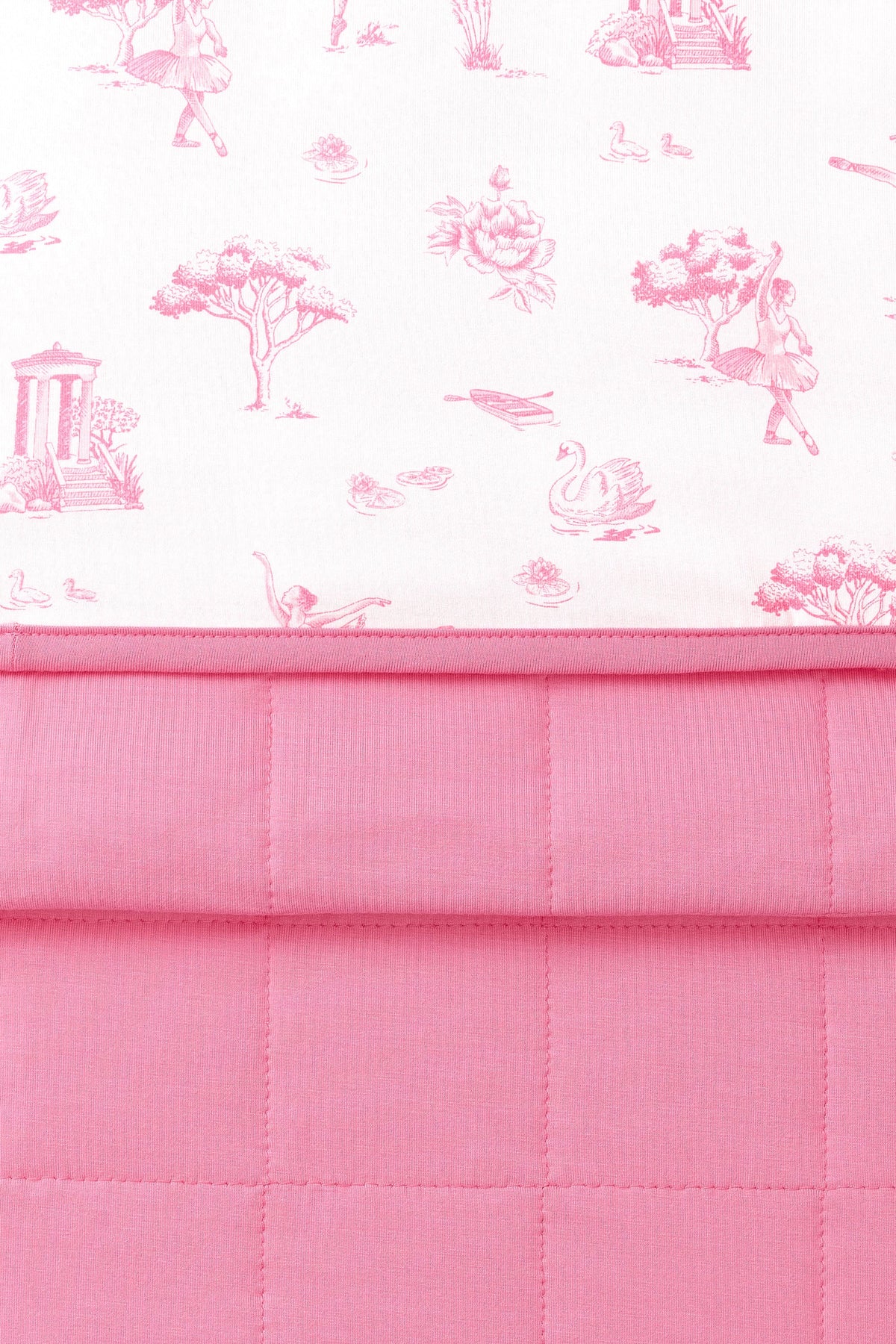 Baby Blanket in Toile Ballet