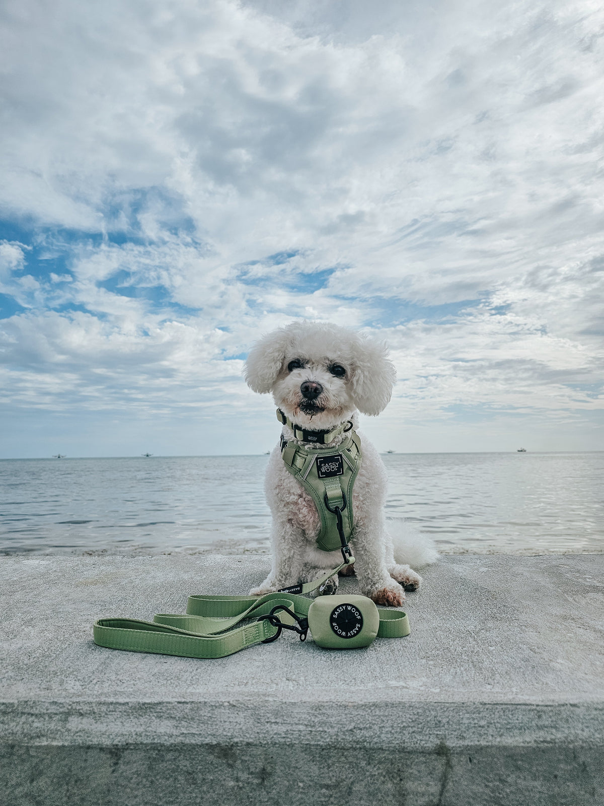 Dog Step-in Harness - Matcha