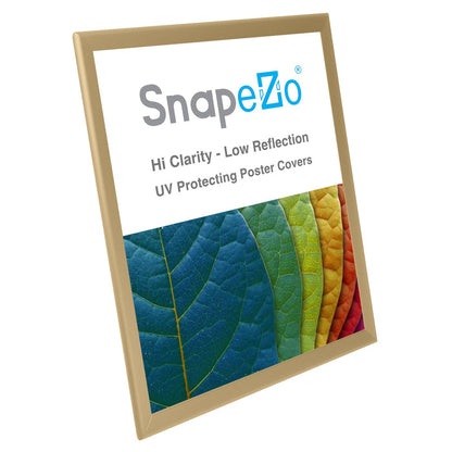 22x28 Gold SnapeZo® Snap Frame - 1.25" Profile