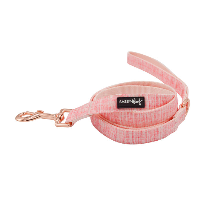 Dog Collar Three Piece Bundle - Dolce Rose