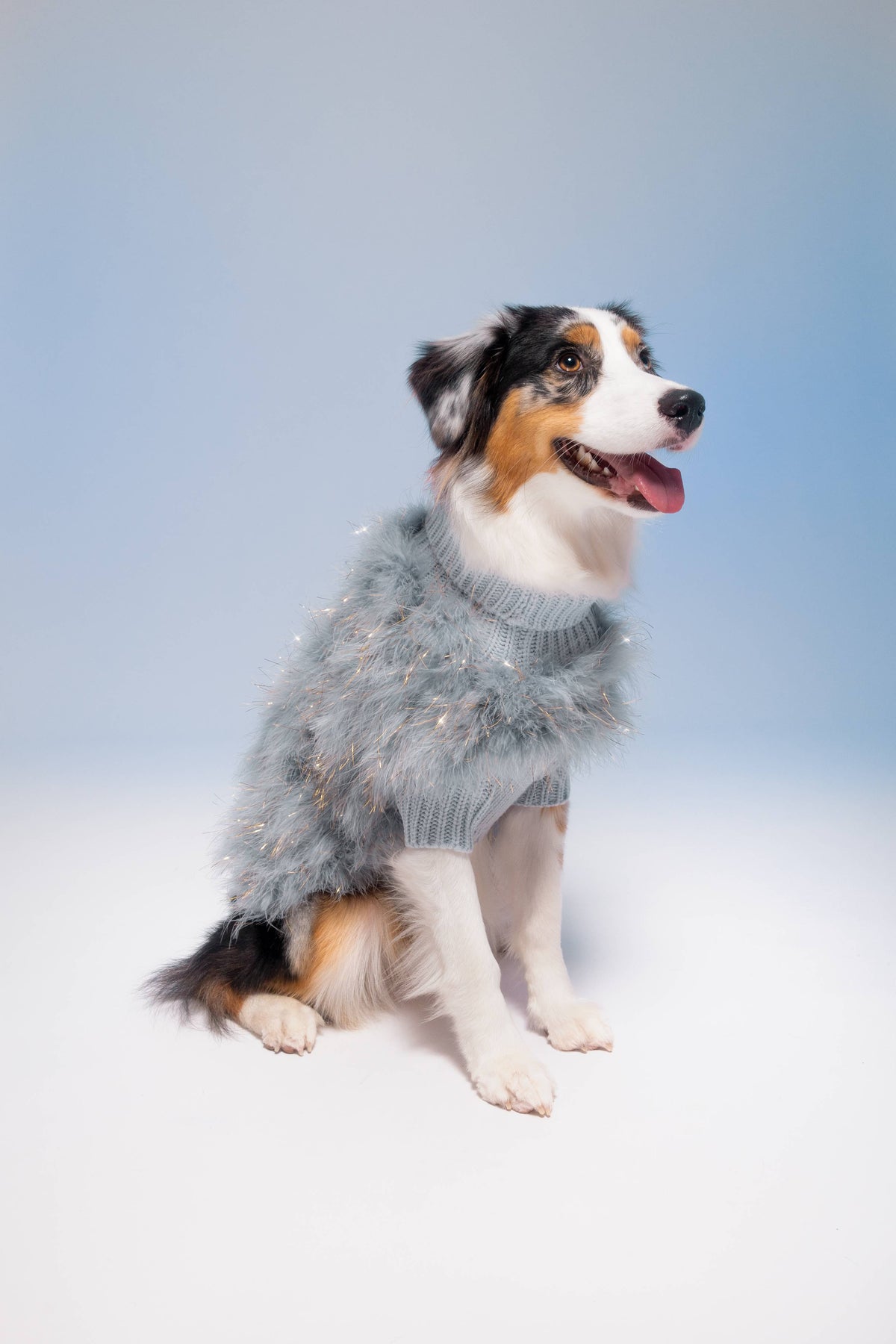 maxbone - Christian Cowan Holiday Glitz Dog Jumper