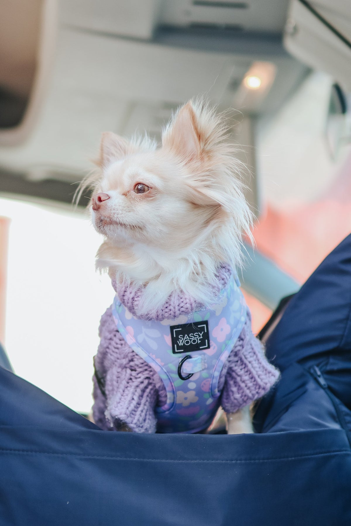 Pet Cable Knit Sweater - Lavender