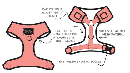 Harness Three Piece Bundle - Disney's Cinderella