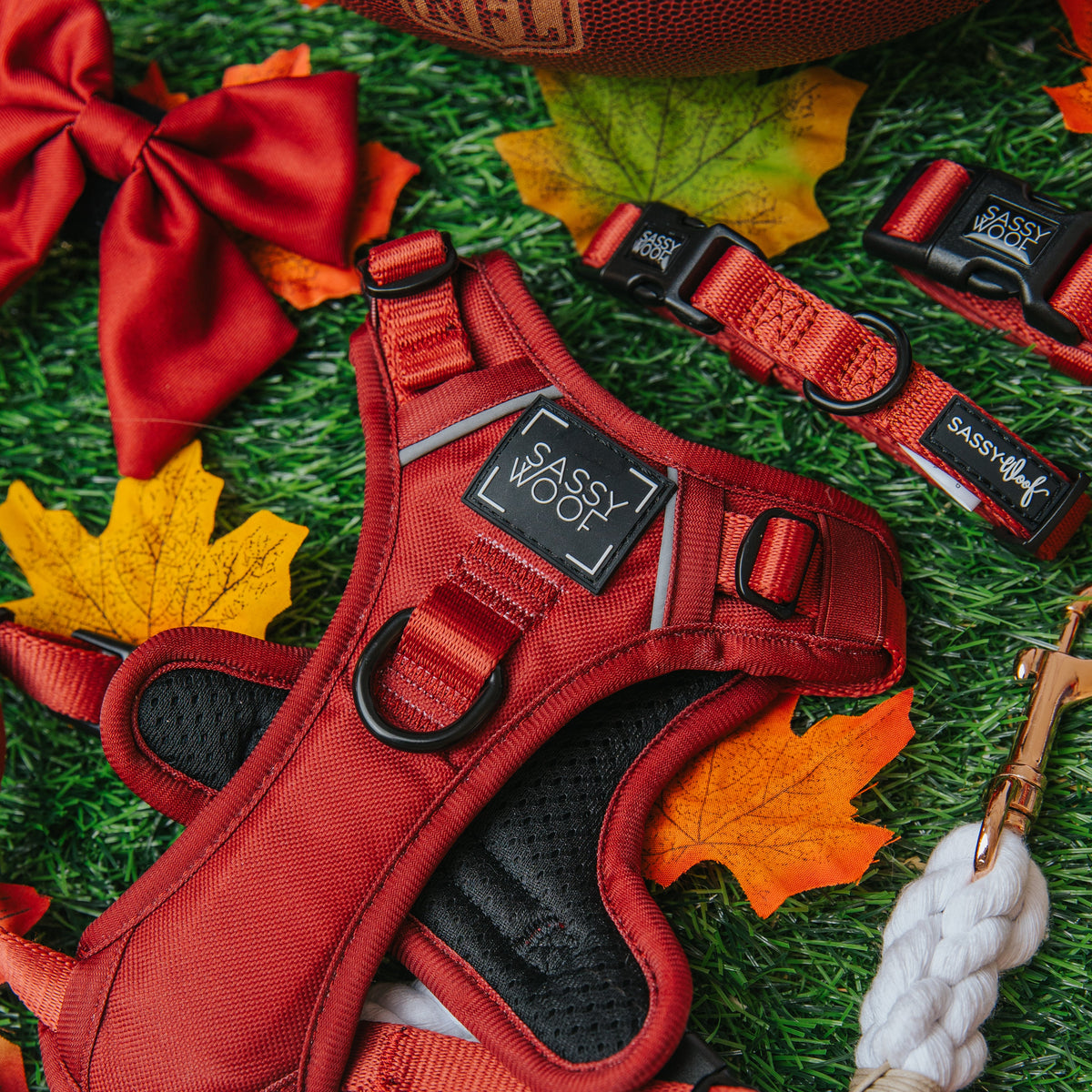 Dog Two Piece Bundle - Burgundy