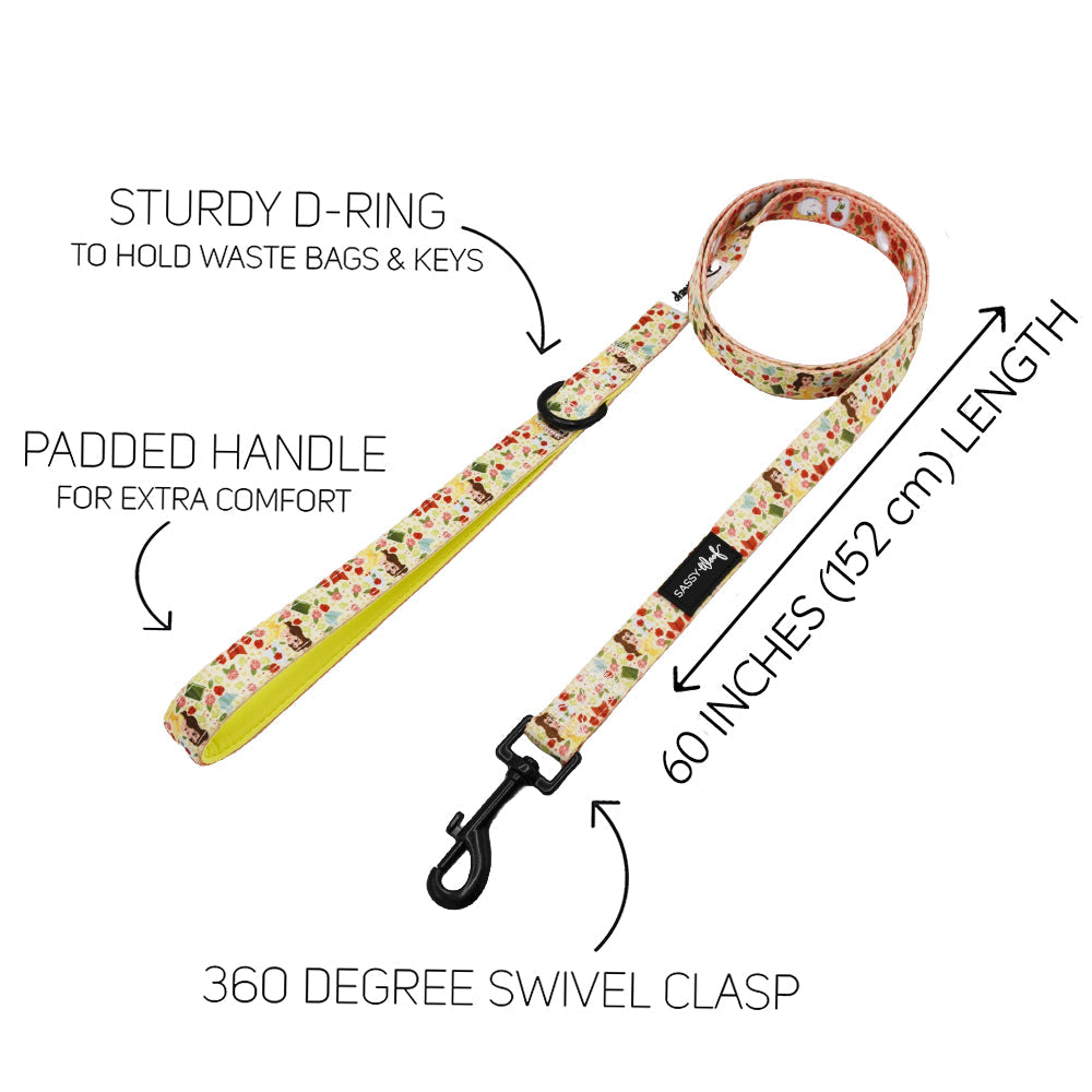 Dog Leash - Disney's Belle