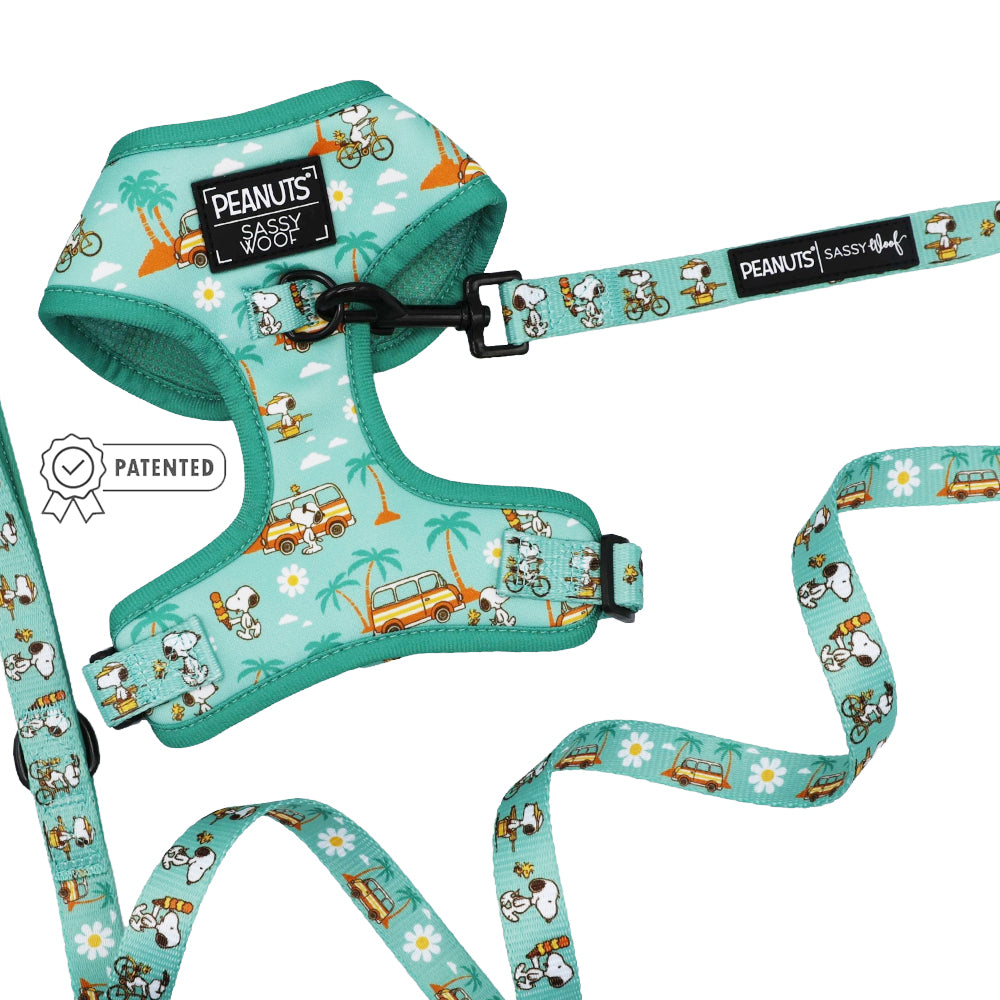Dog Two Piece Bundle - Peanuts™ Road Tripping
