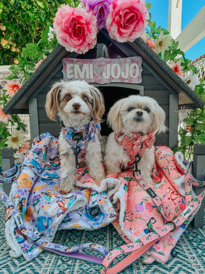 Dog Two Piece Bundle - Disney's Jasmine
