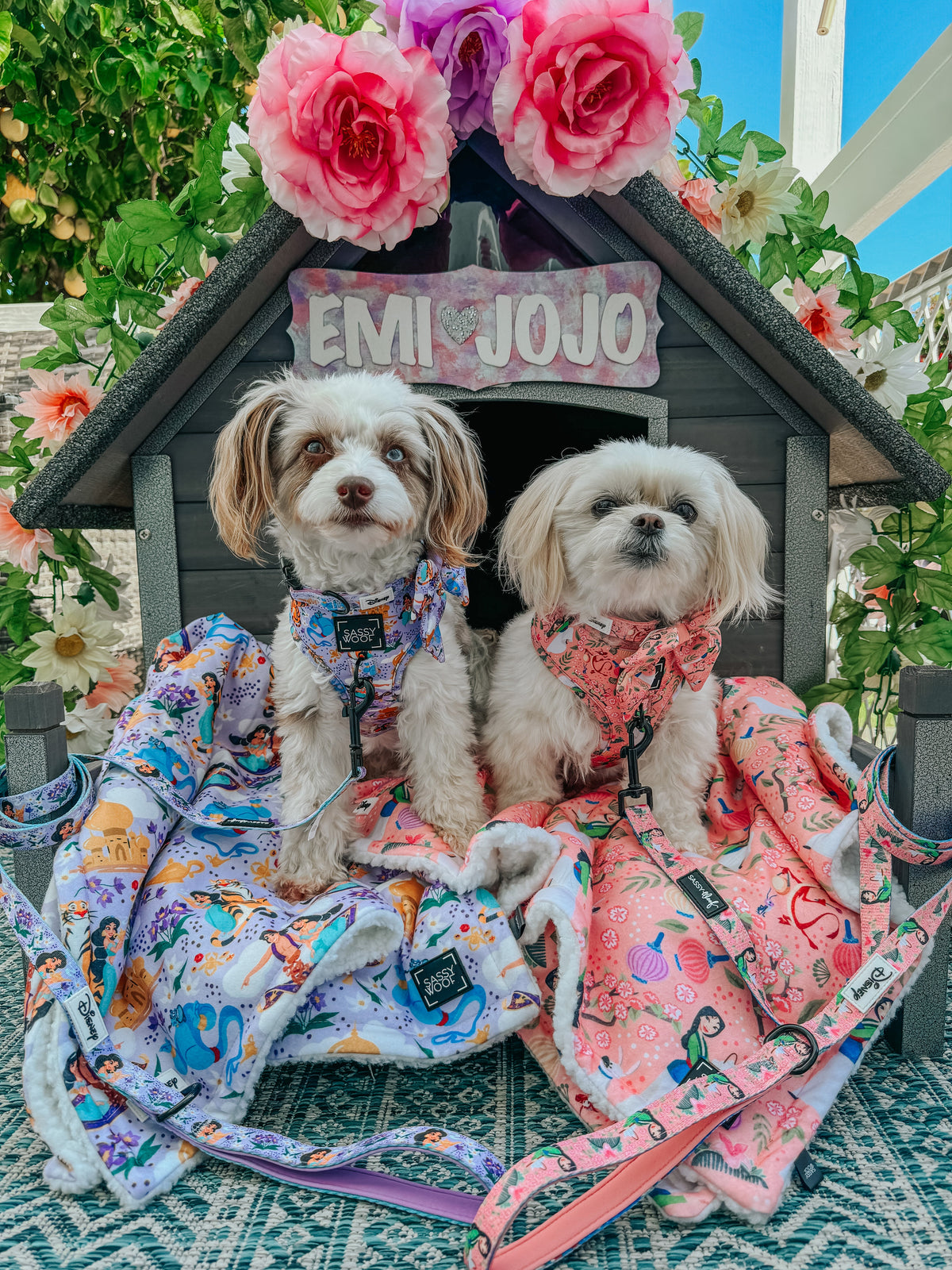 Harness Three Piece Bundle - Disney's Jasmine
