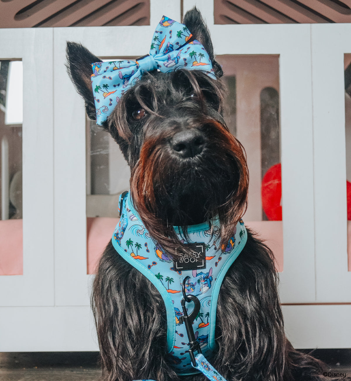 Dog Sailor Bow - Disney's Stitch