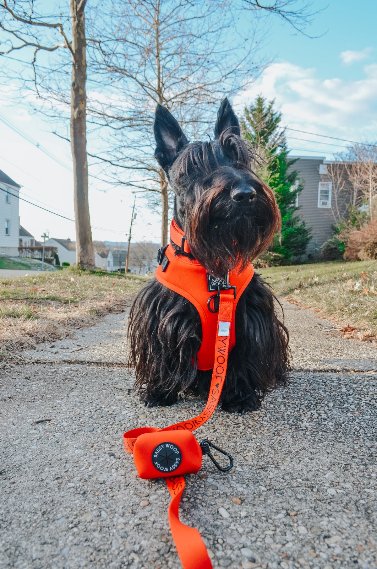 Dog Two Piece Bundle - Neon Red