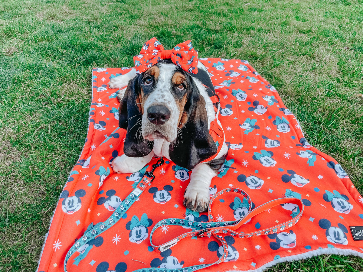 Pet Blanket - Disney Holiday Collection