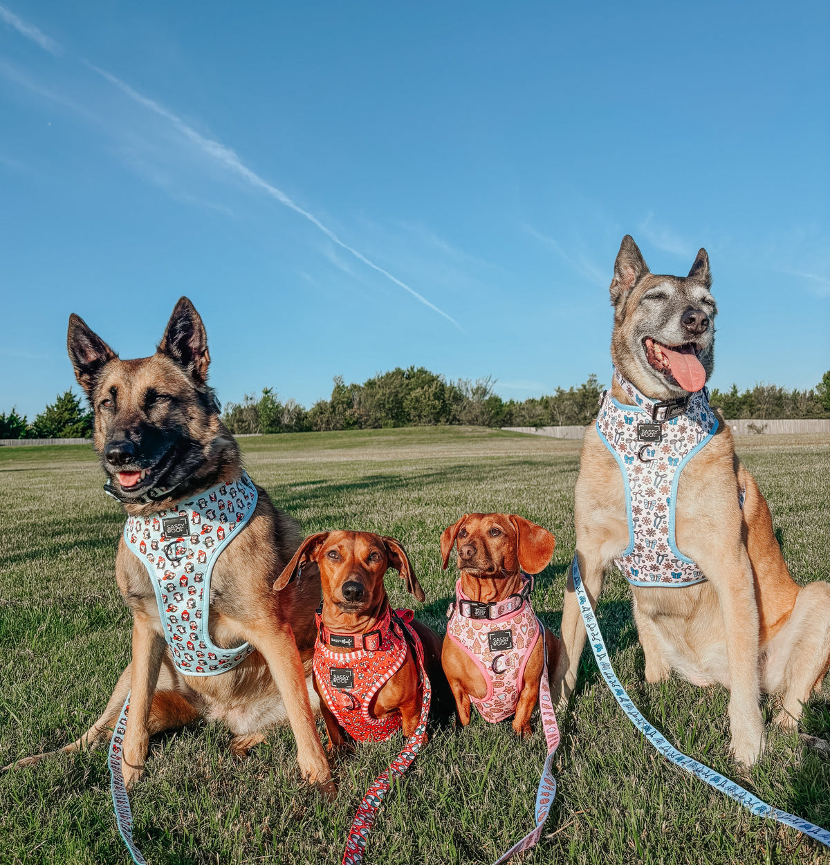 Dog Adjustable Harness - Let it Bow