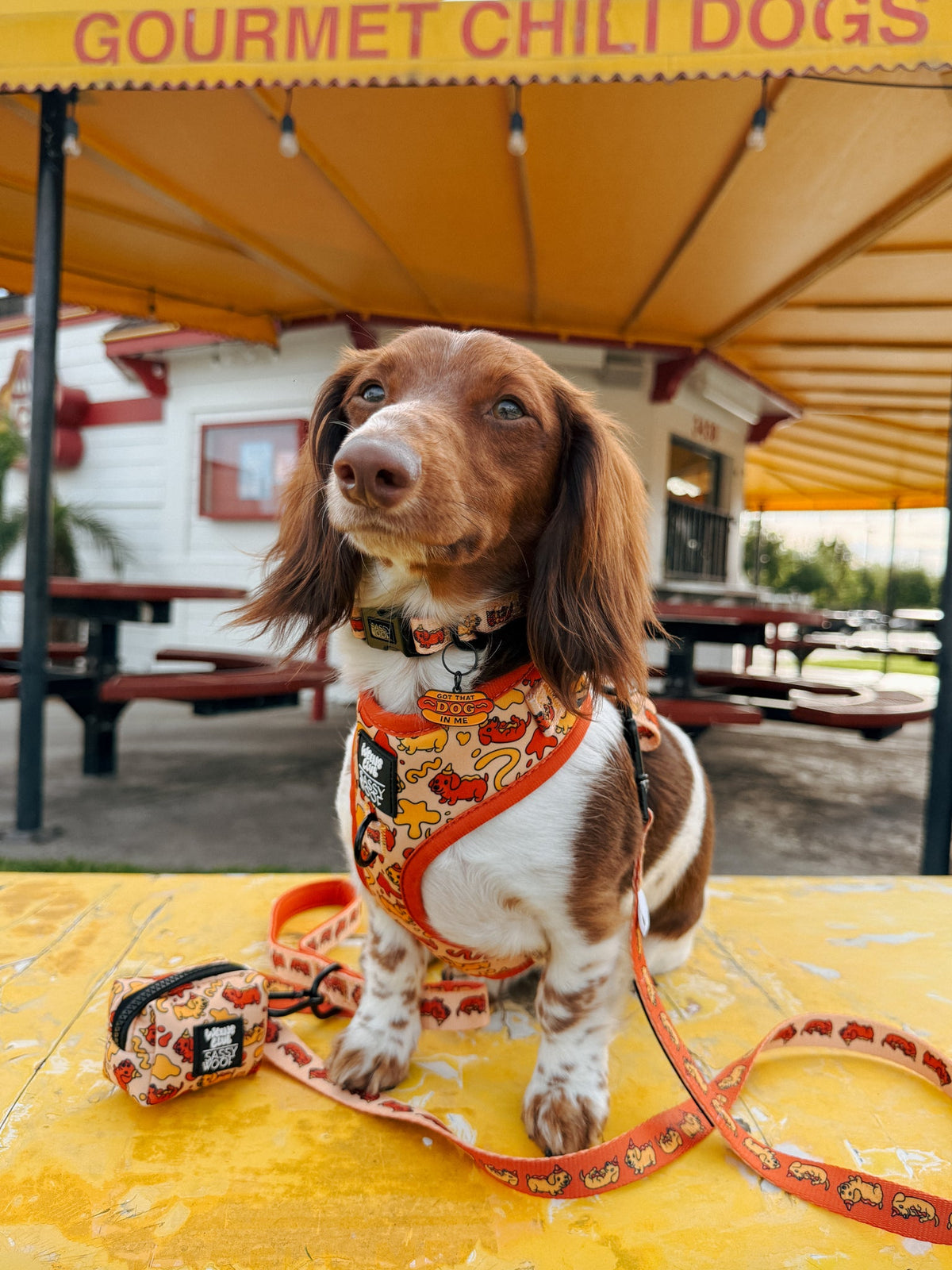 Dog Two Piece Bundle - Hot Dawg