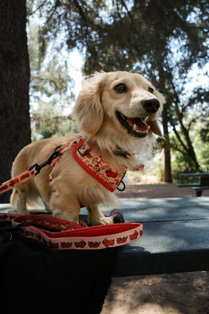 Dog Two Piece Bundle - Hot Dawg