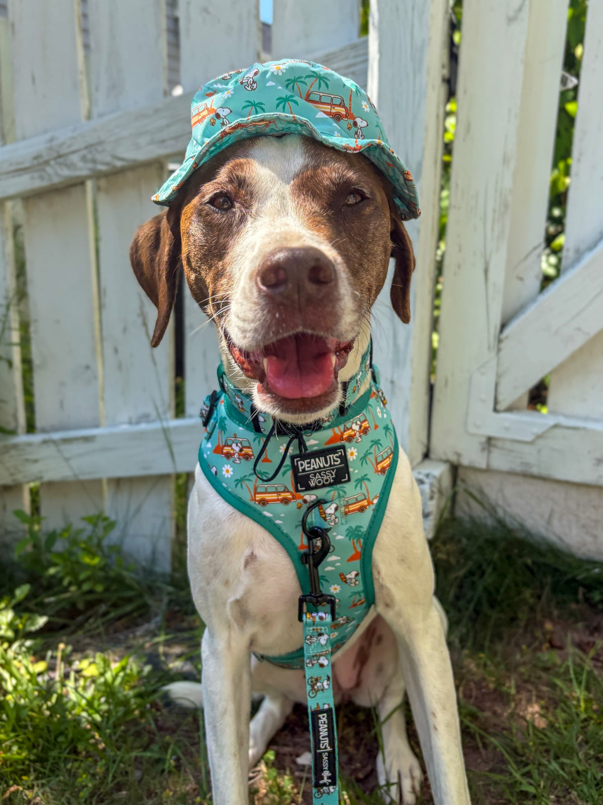 Dog Bucket Hat - Peanuts™ Road Tripping