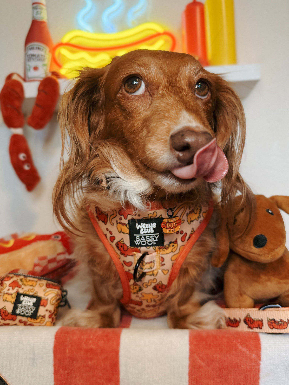 Dog Adjustable Harness - Hot Dawg