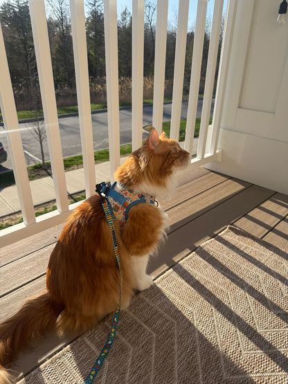 Cat Step-In Harness - Portofino