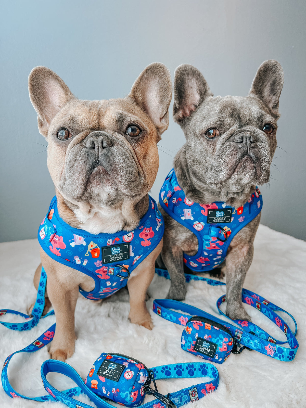 Dog Adjustable Harness - Blue's Clues™