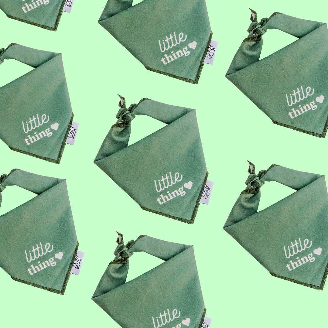 Dog Bandana - Little Thing