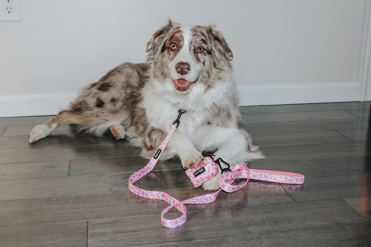 Dog Leash - Strawberry Milk