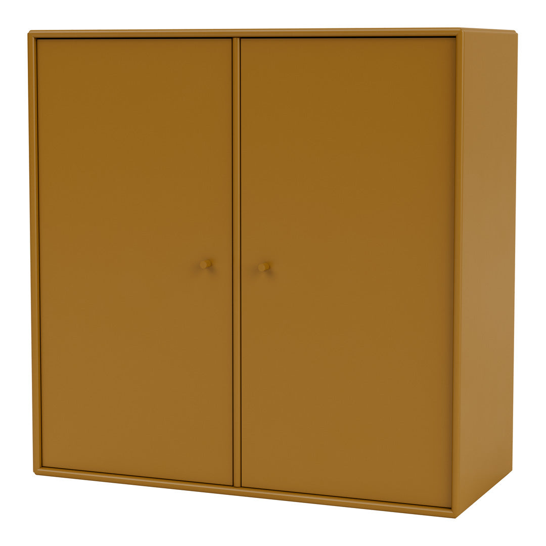 Cabinet 1118 - 2 Lacquered Doors