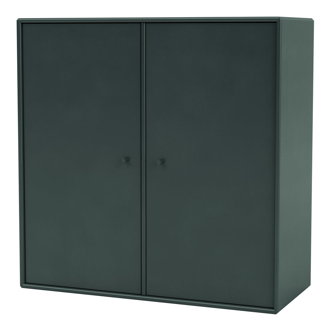 Cabinet 1118 - 2 Lacquered Doors