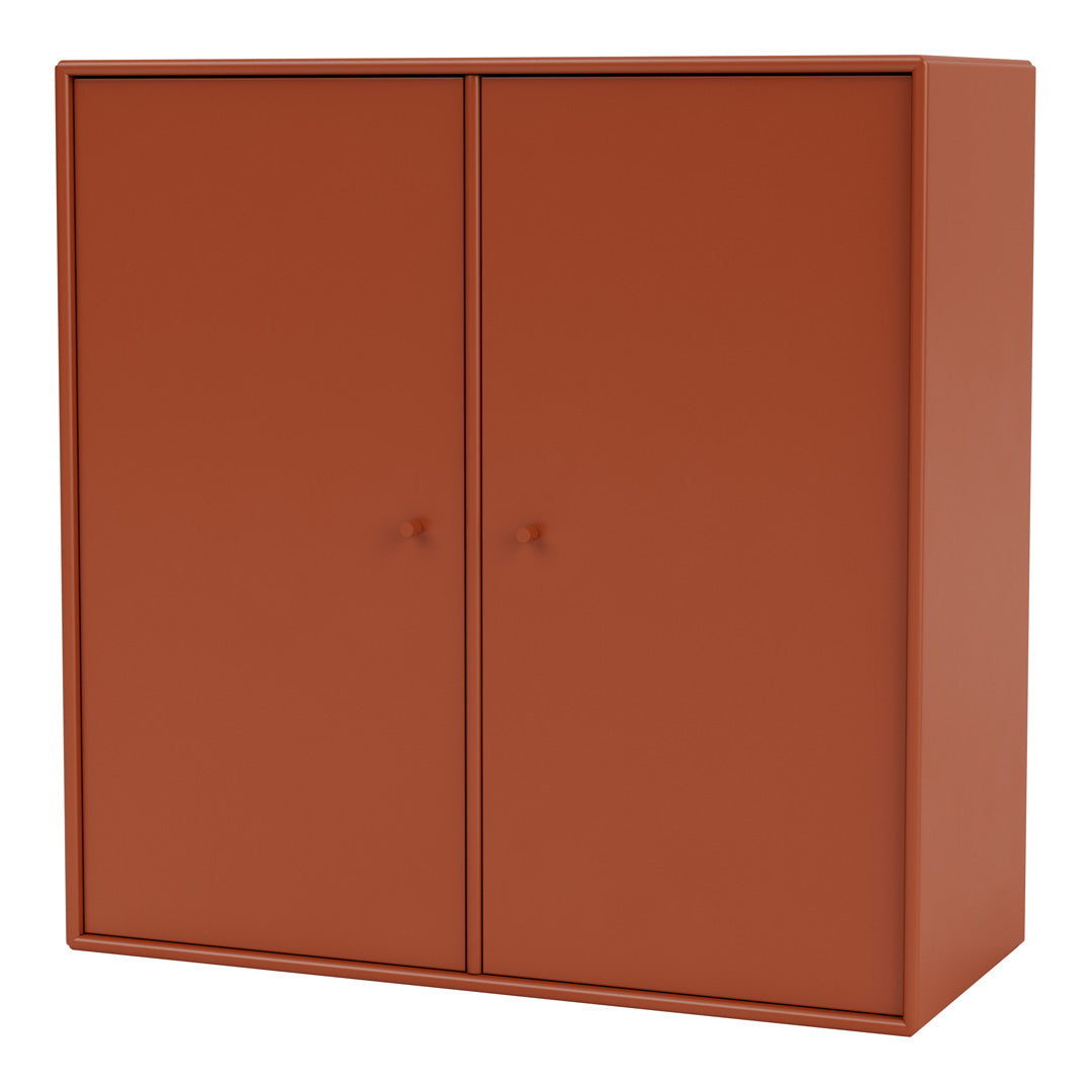 Cabinet 1118 - 2 Lacquered Doors