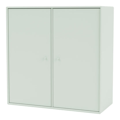 Cabinet 1118 - 2 Lacquered Doors