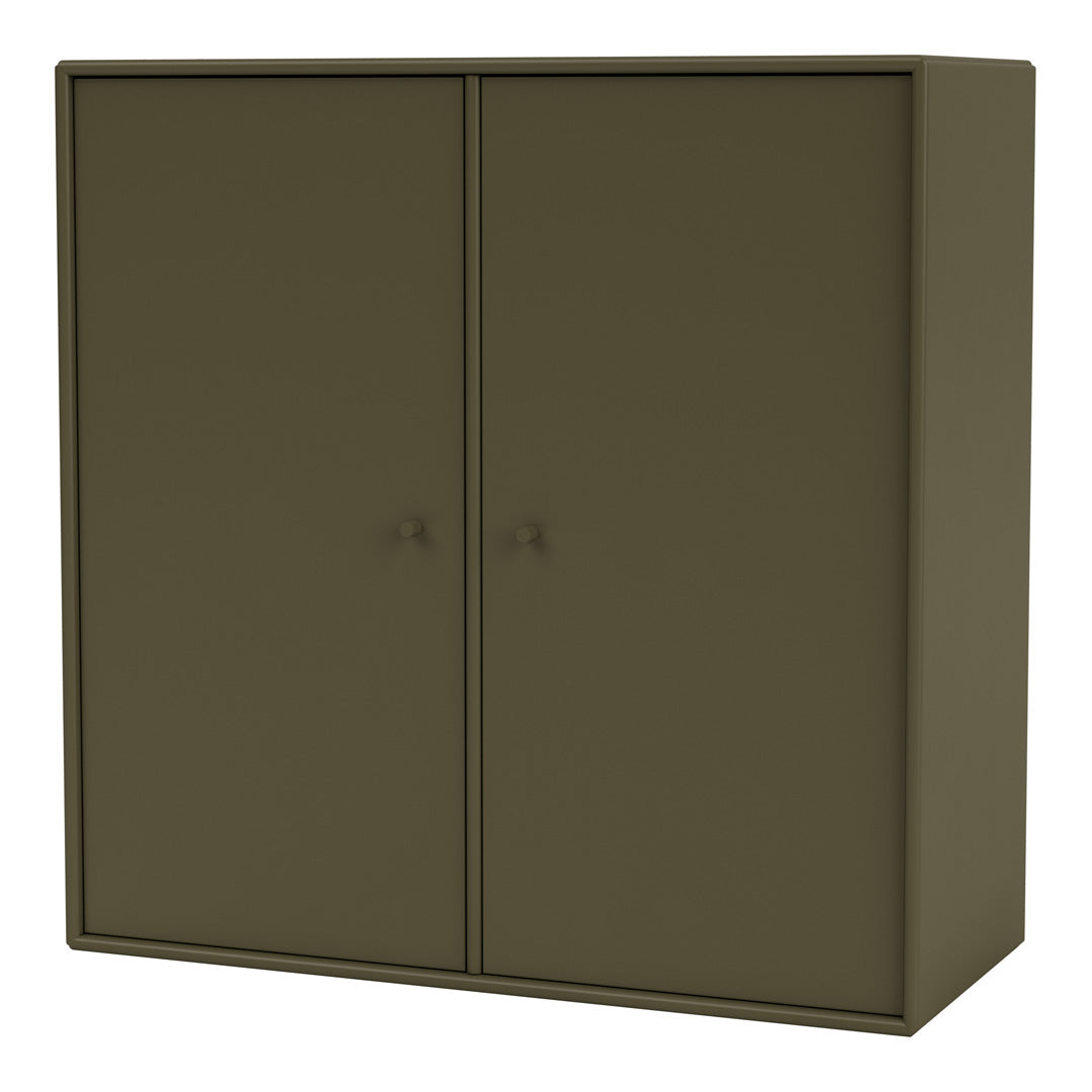 Cabinet 1118 - 2 Lacquered Doors