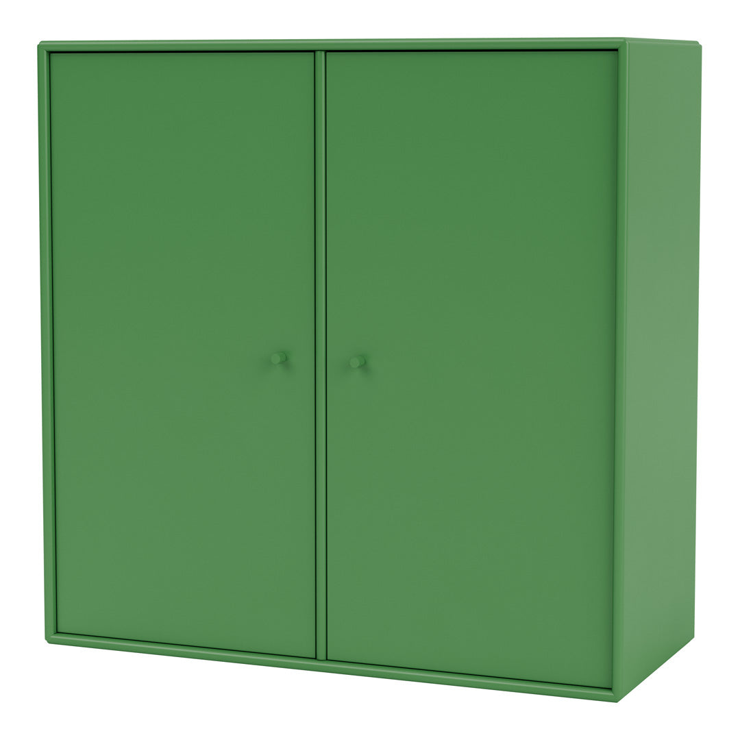Cabinet 1118 - 2 Lacquered Doors