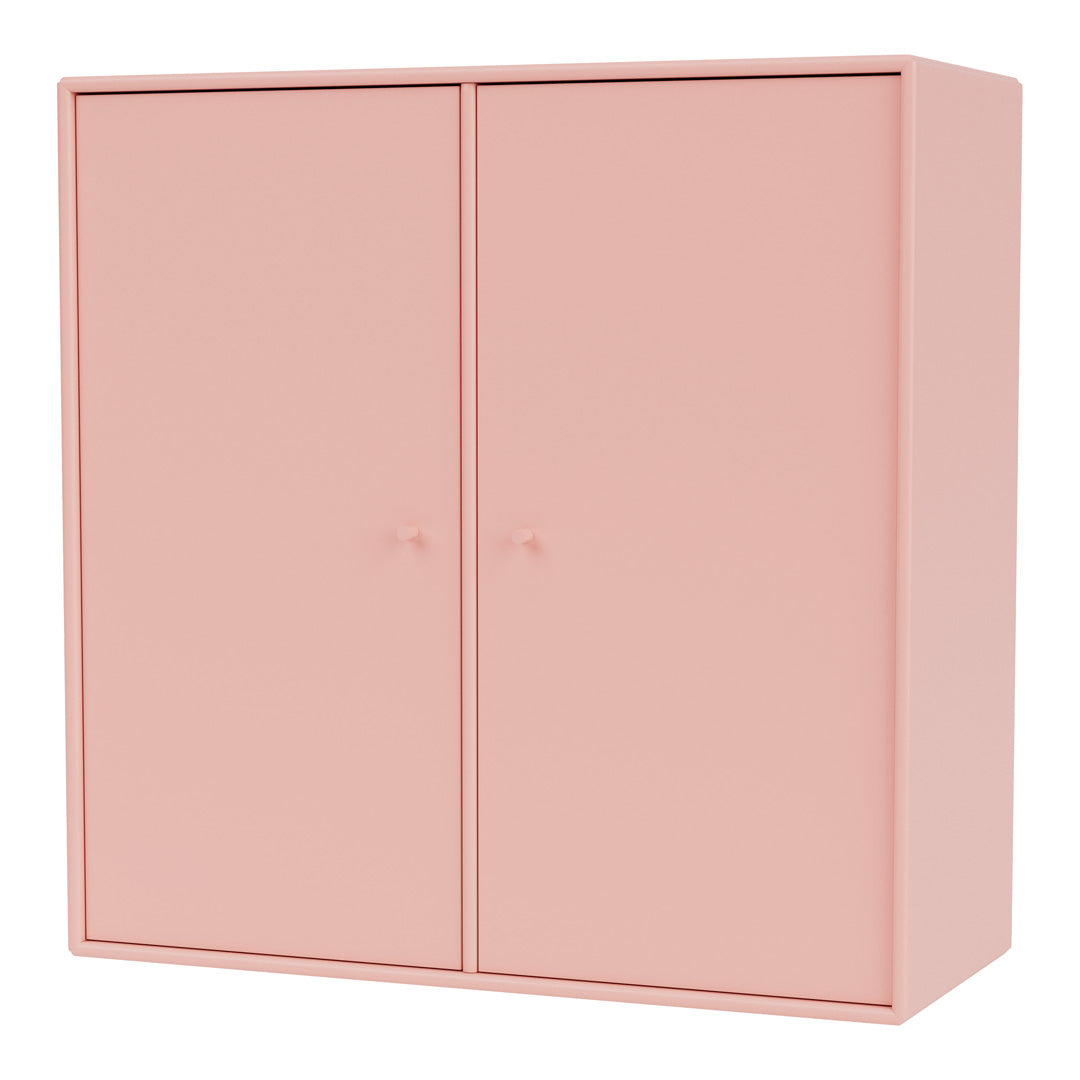 Cabinet 1118 - 2 Lacquered Doors