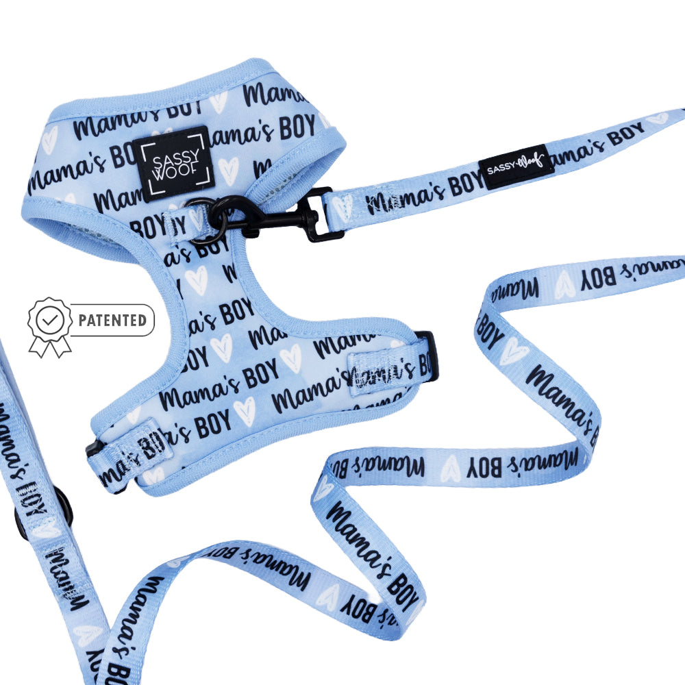 Dog Two Piece Bundle - Mama's Boy