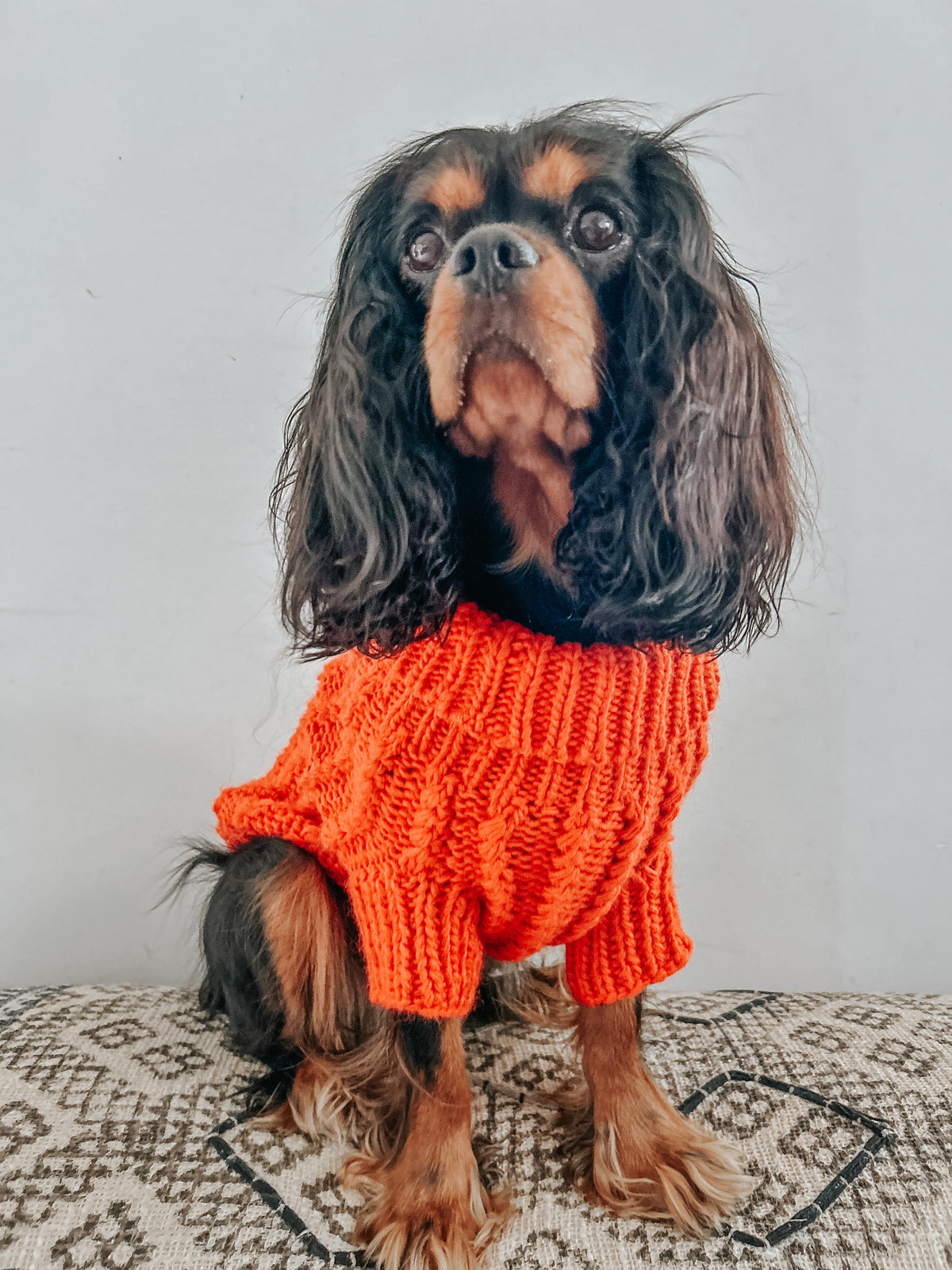 Pet Cable Knit Sweater - Orange