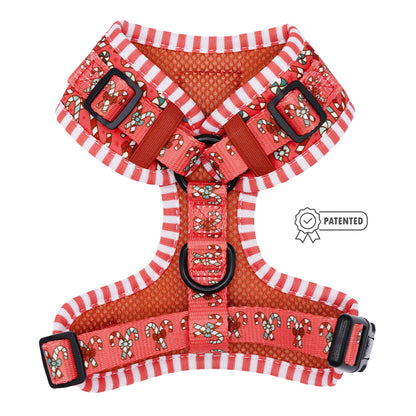 Dog Adjustable Harness - Puppermint Twist