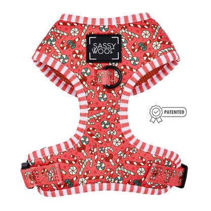 Dog Adjustable Harness - Puppermint Twist