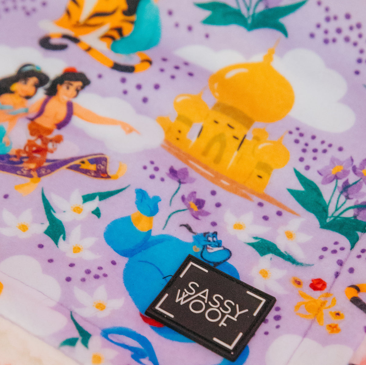 Pet Blanket - Disney's Jasmine