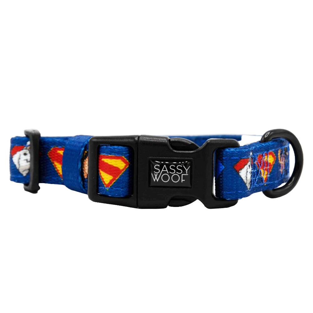 Dog Collar - Superman™ & Krypto™