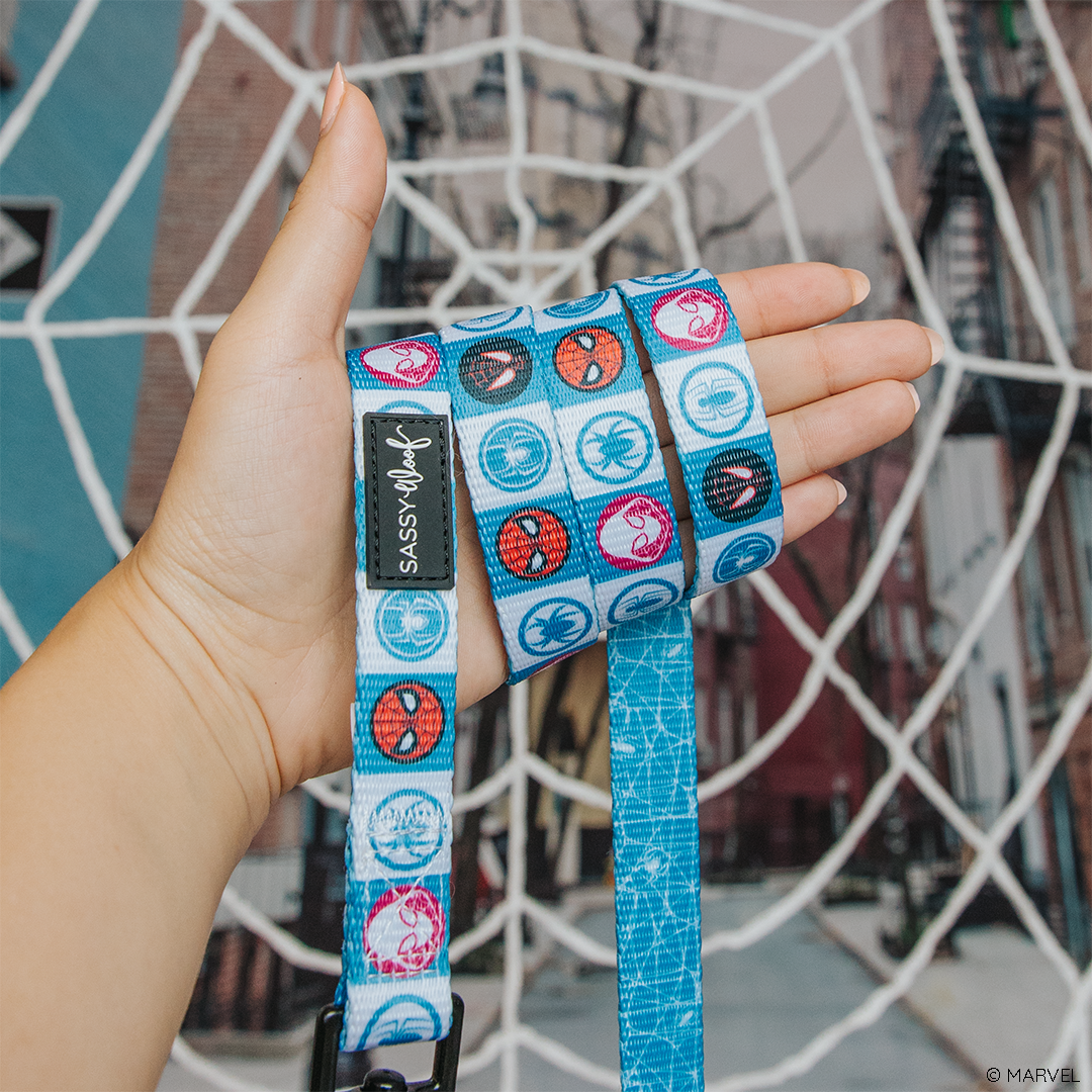Dog Leash - Marvel’s Spider-Man