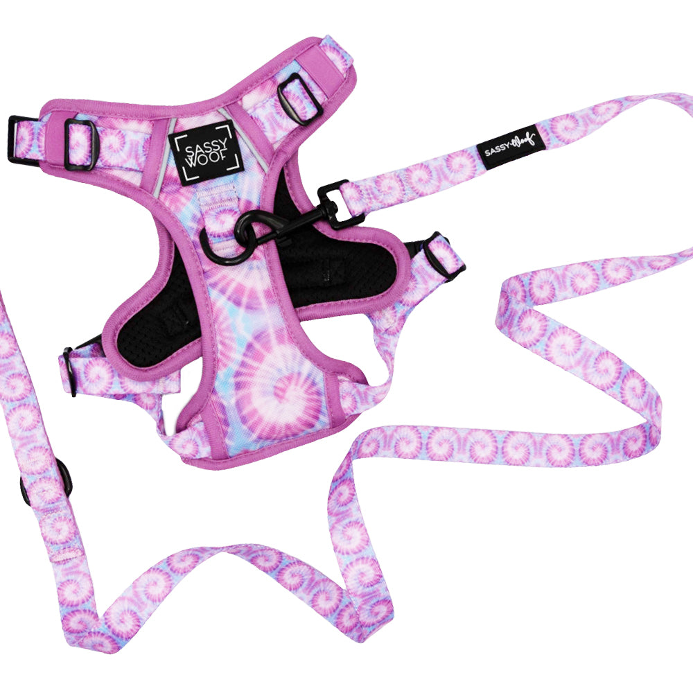Dog Two Piece Bundle - Purple Haze