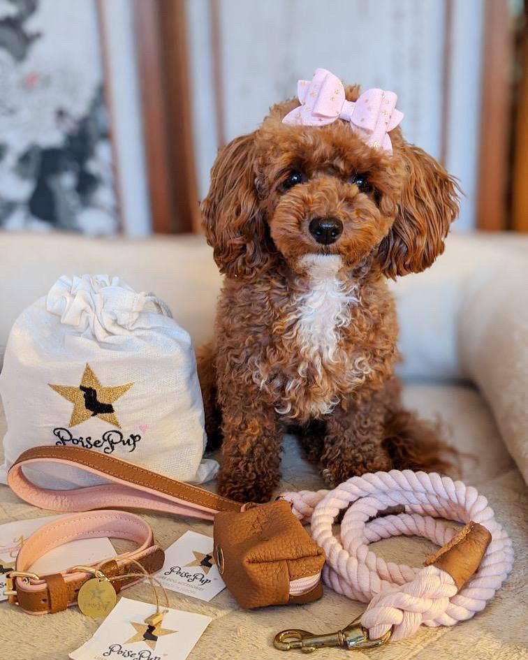 PoisePup - COLLAR - BELLA ROSE