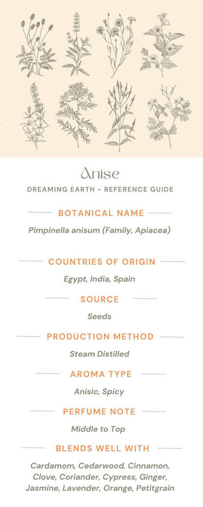 Aniseed (Anise Seed) Essential Oil